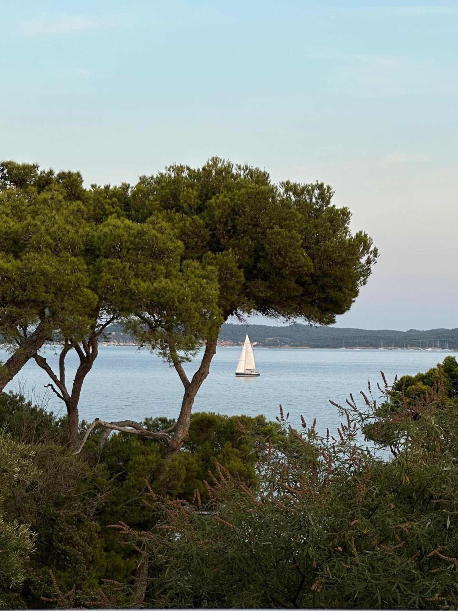 L'Instant Plage - Vue Mer - Bord De Plage - La Capte - Cote D'Azur Hyères Buitenkant foto